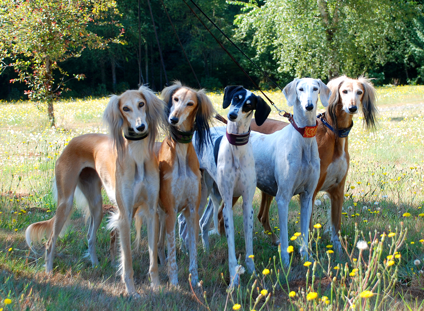 Sirianni Acres group photo